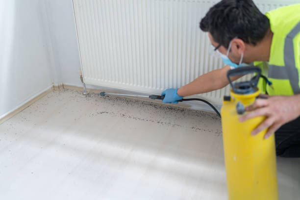 Best Affordable Pest Control Services  in Whiteman Af, MO