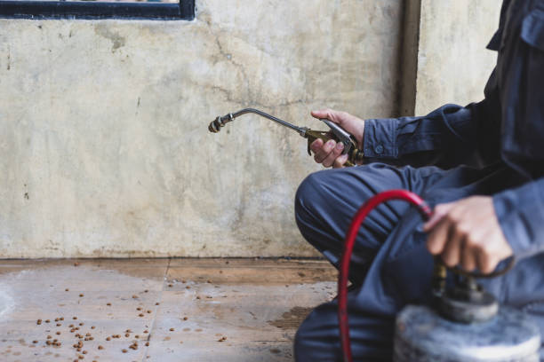 Wasp Removal Services in Whiteman Af, MO